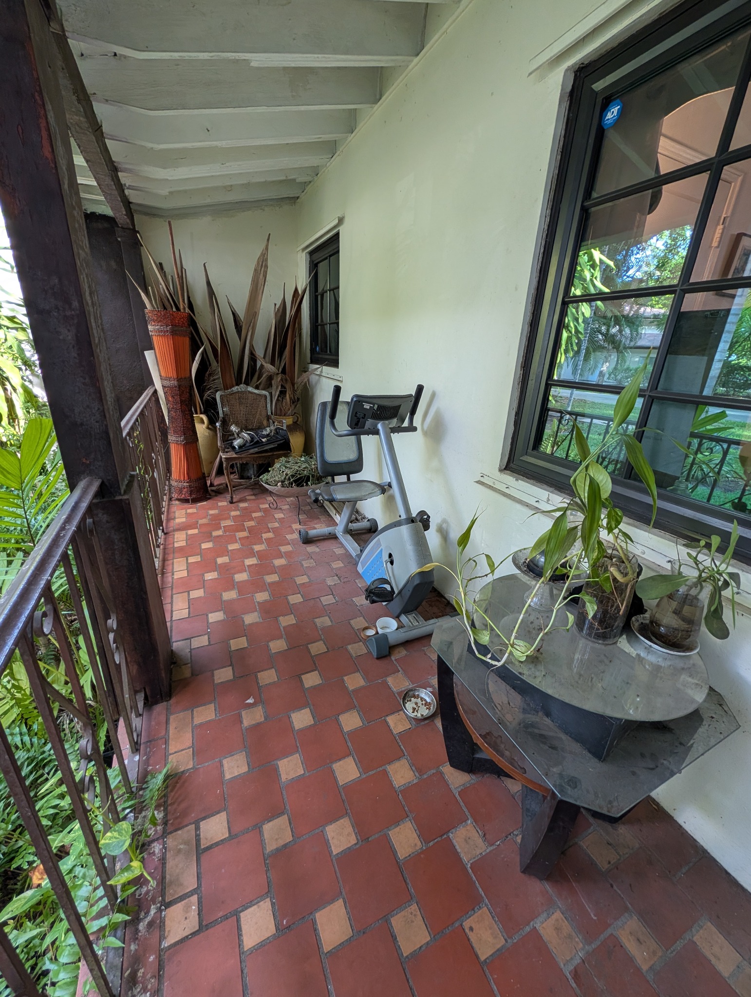 Porch with exercise equipment, plants, and home décor