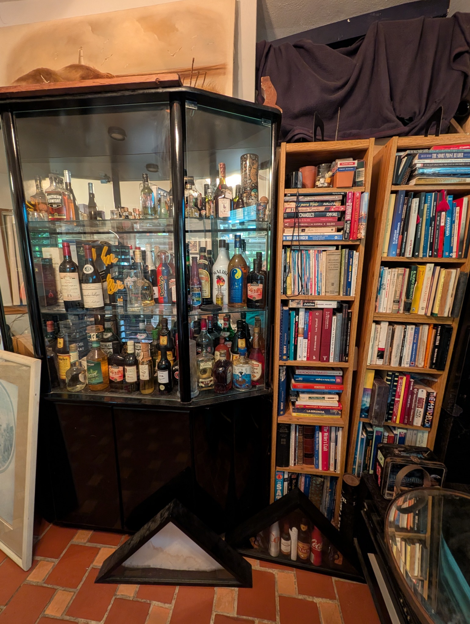 Glass display cabinet and shelves of books